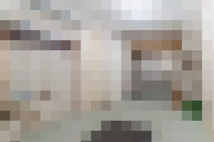 Reeneik 8 Reusel thumbnail 22