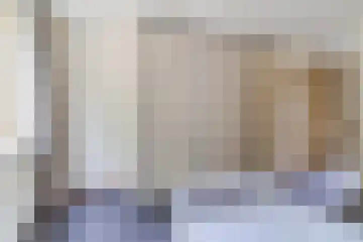 Reeneik 8 Reusel thumbnail 26