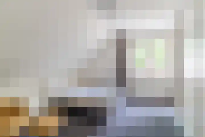 Reeneik 8 Reusel thumbnail 27
