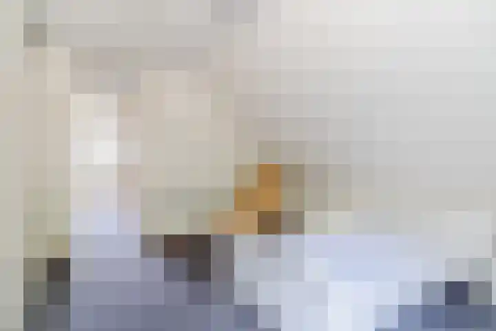 Reeneik 8 Reusel thumbnail 28