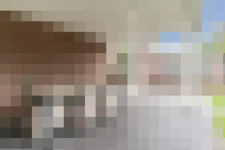 Reeneik 8 Reusel thumbnail 31