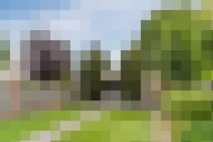 Reeneik 8 Reusel thumbnail 32