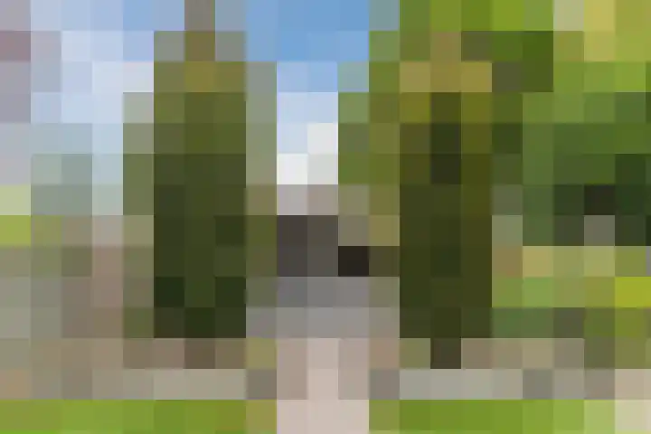 Reeneik 8 Reusel thumbnail 33