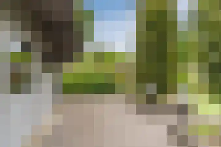 Reeneik 8 Reusel thumbnail 35