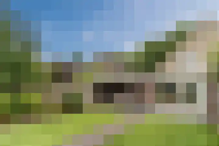 Reeneik 8 Reusel thumbnail 37