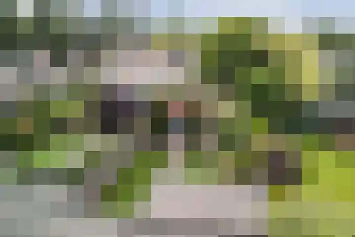 Reeneik 8 Reusel thumbnail 39