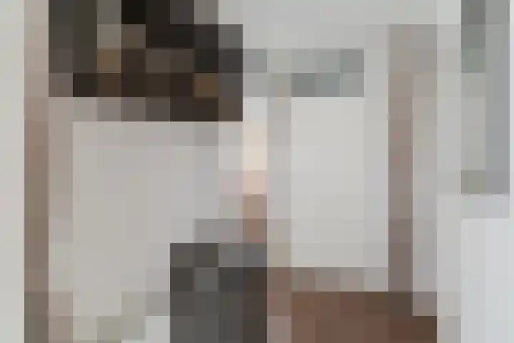 Reeneik 8 Reusel thumbnail 4