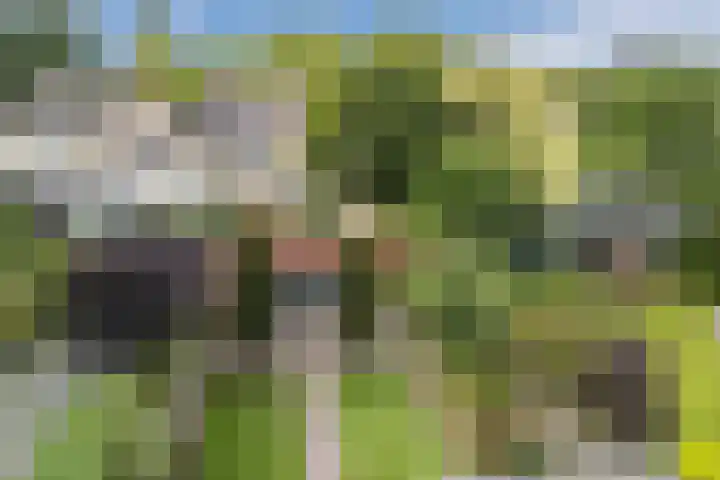 Reeneik 8 Reusel thumbnail 40