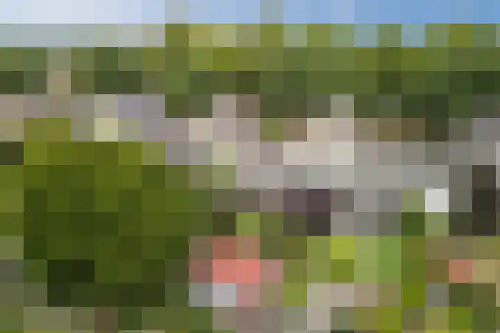 Reeneik 8 Reusel thumbnail 41