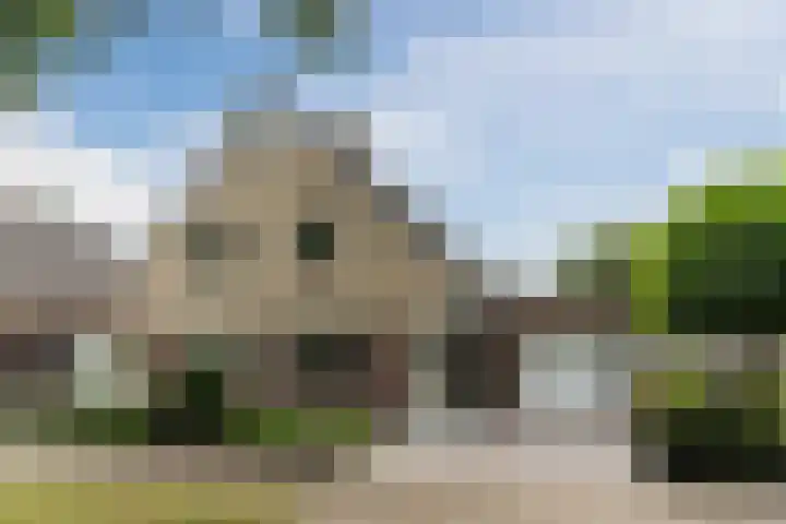 Reeneik 8 Reusel thumbnail 44