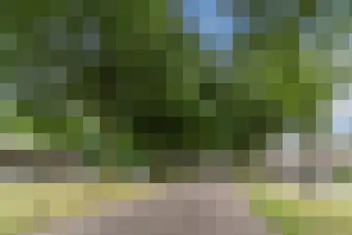 Reeneik 8 Reusel thumbnail 45