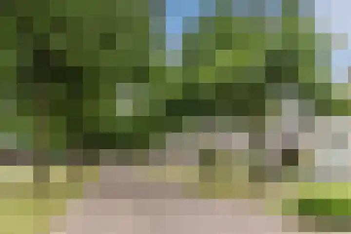 Reeneik 8 Reusel thumbnail 46