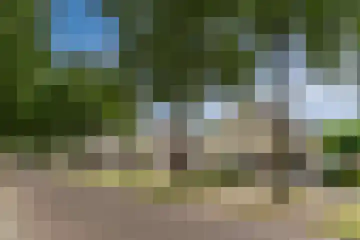 Reeneik 8 Reusel thumbnail 47