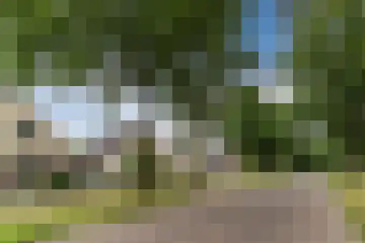 Reeneik 8 Reusel thumbnail 48