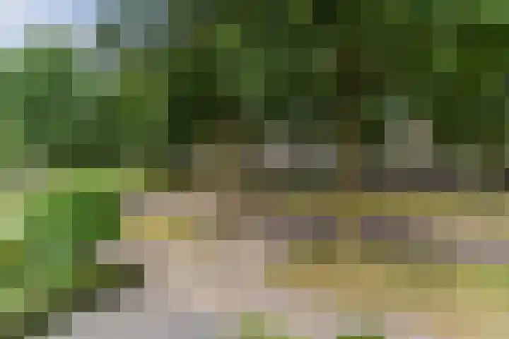Reeneik 8 Reusel thumbnail 49
