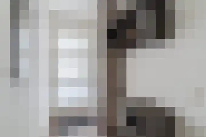 Reeneik 8 Reusel thumbnail 5