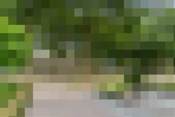 Reeneik 8 Reusel thumbnail 50