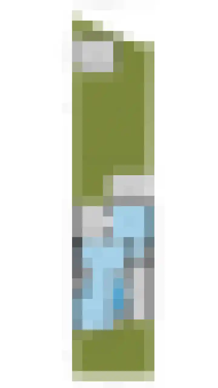 Reeneik 8 Reusel thumbnail 54
