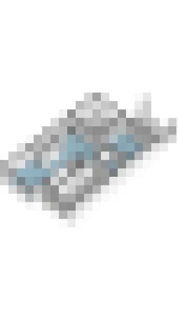 Reeneik 8 Reusel thumbnail 56