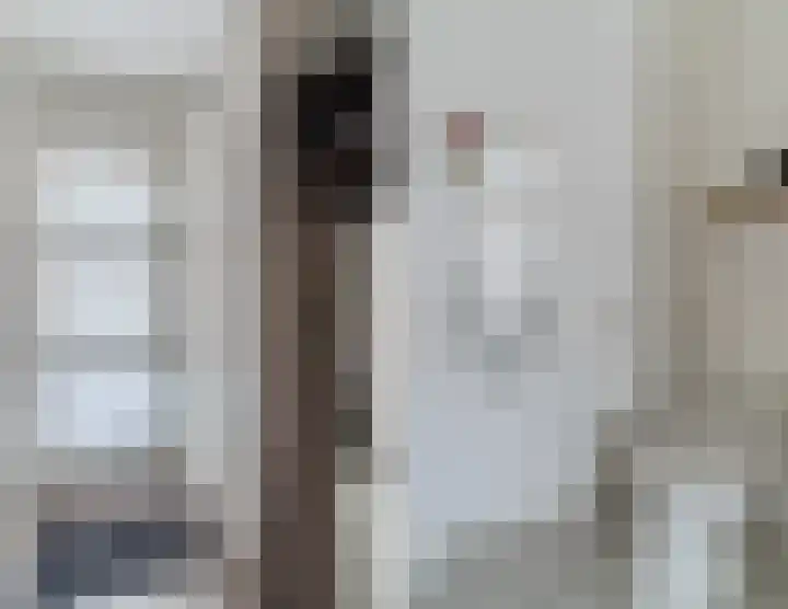 Reeneik 8 Reusel thumbnail 6