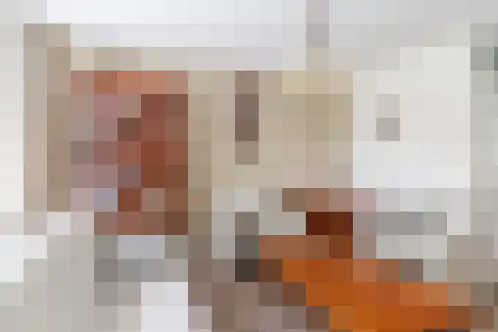 Reeneik 8 Reusel thumbnail 8