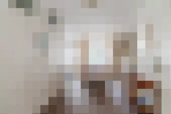 Reeneik 8 Reusel thumbnail 9