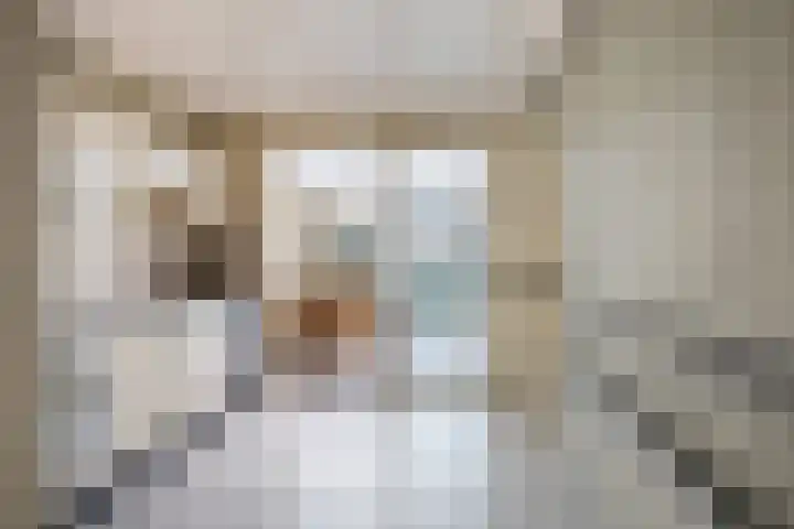 Reenstraat 5 Bergeijk thumbnail 12