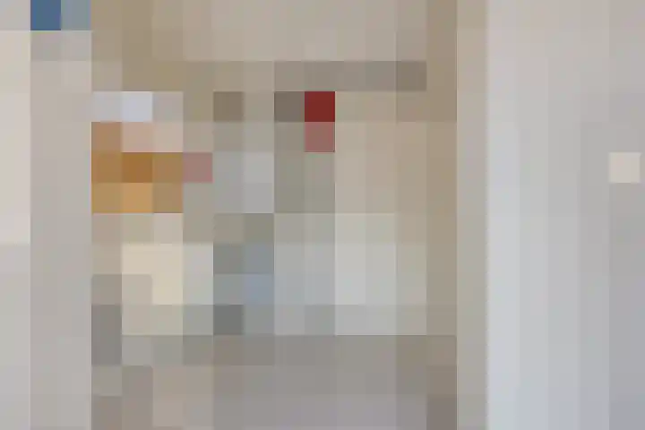 Reenstraat 5 Bergeijk thumbnail 17