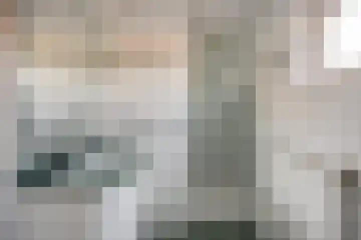 Reenstraat 5 Bergeijk thumbnail 24