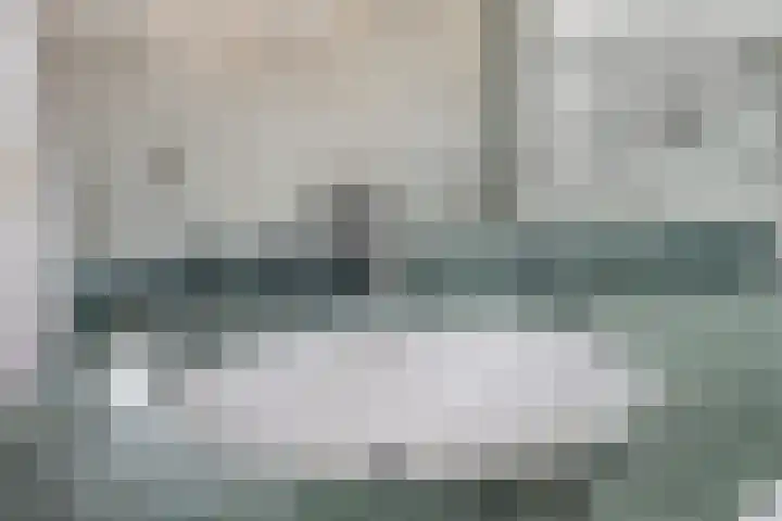Reenstraat 5 Bergeijk thumbnail 26