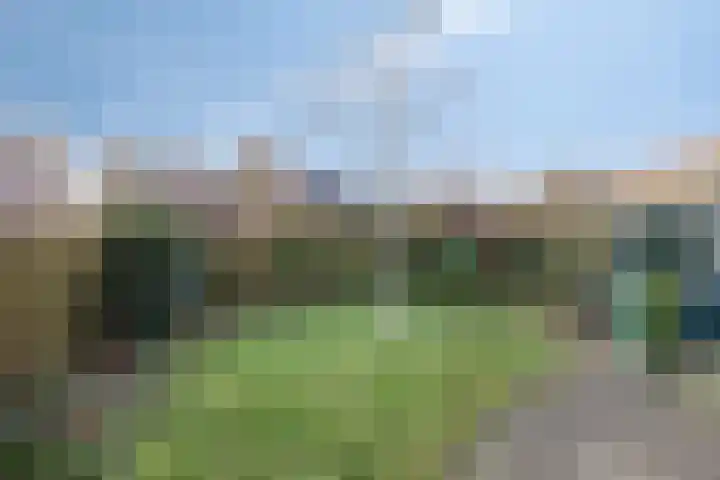 Reenstraat 5 Bergeijk thumbnail 27