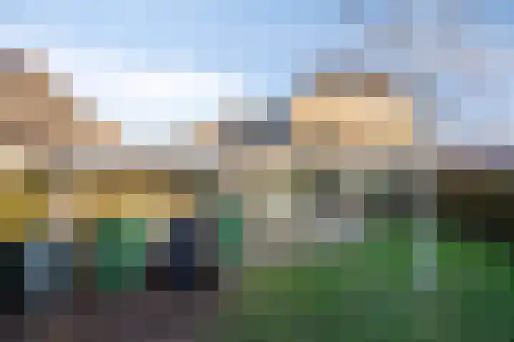 Reenstraat 5 Bergeijk thumbnail 31
