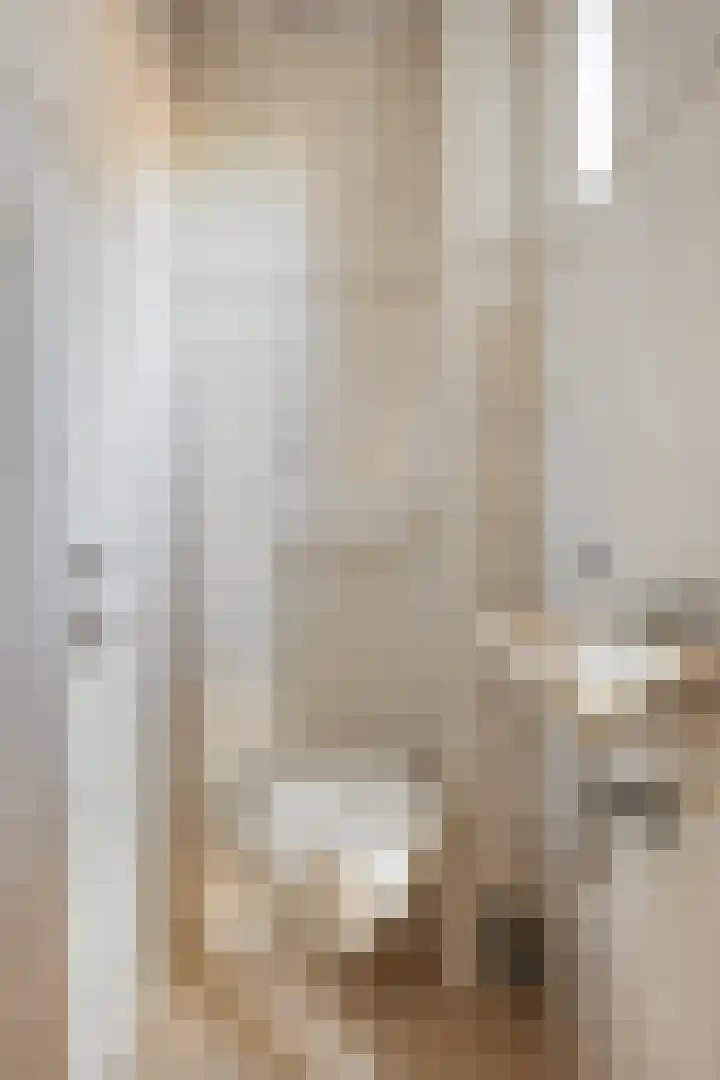 Reenstraat 5 Bergeijk thumbnail 6