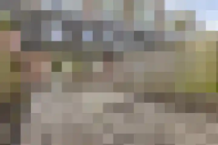 Reeperf 13 Breda thumbnail 29