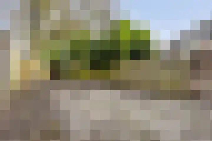 Reeperf 13 Breda thumbnail 31