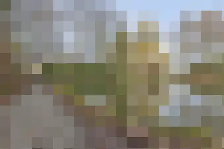 Reeperf 13 Breda thumbnail 38