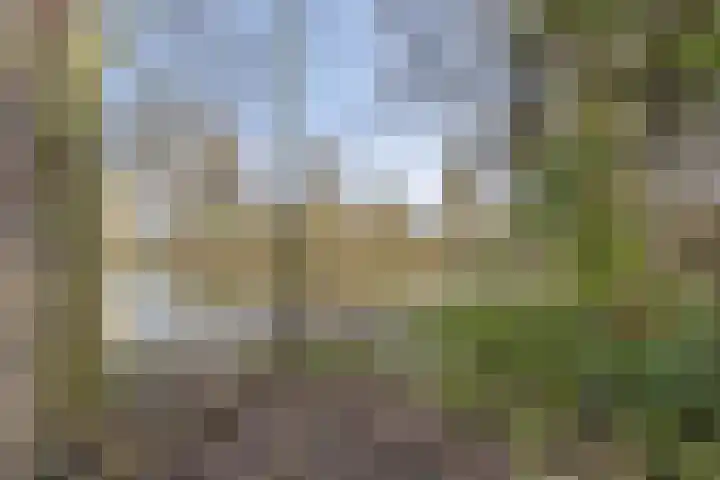 Reeperf 13 Breda thumbnail 39