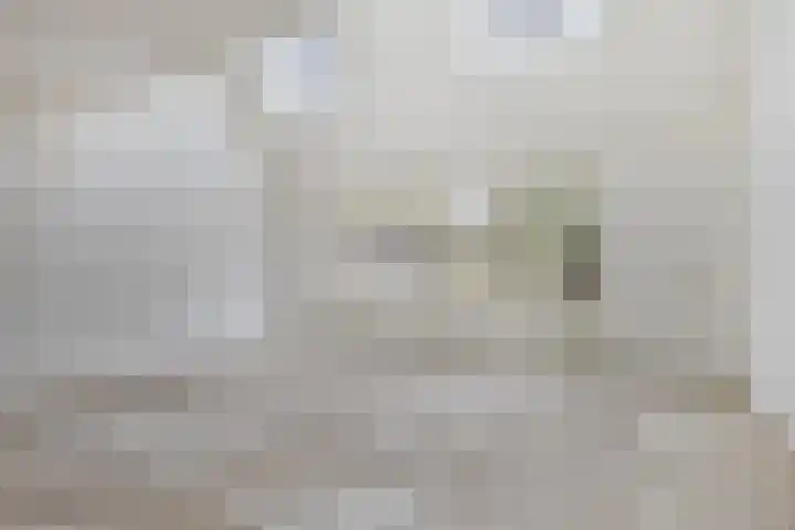Reeperf 13 Breda thumbnail 7