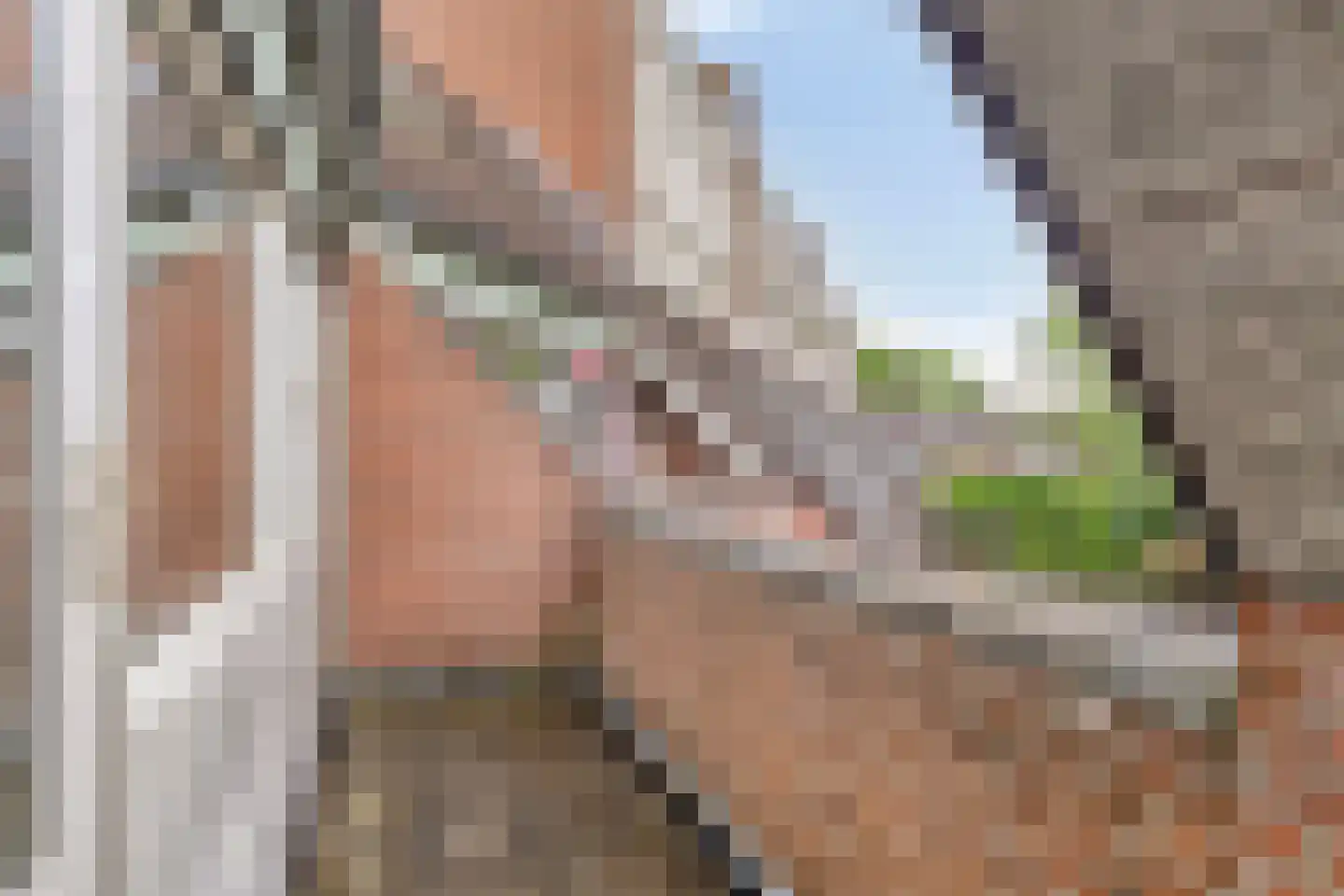 Reeperf 19 Breda thumbnail 10