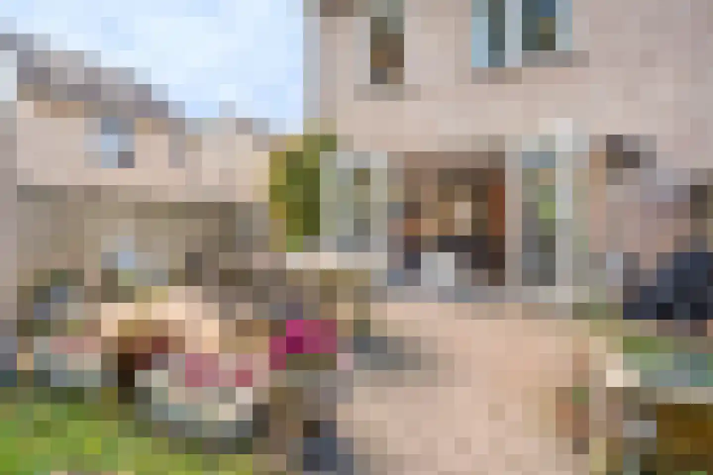 Reeperf 35 A Breda thumbnail 24
