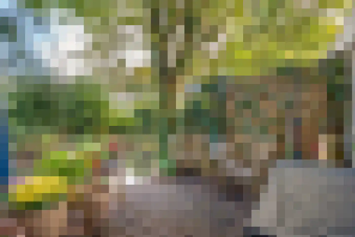 Reeperf 35 A Breda thumbnail 4