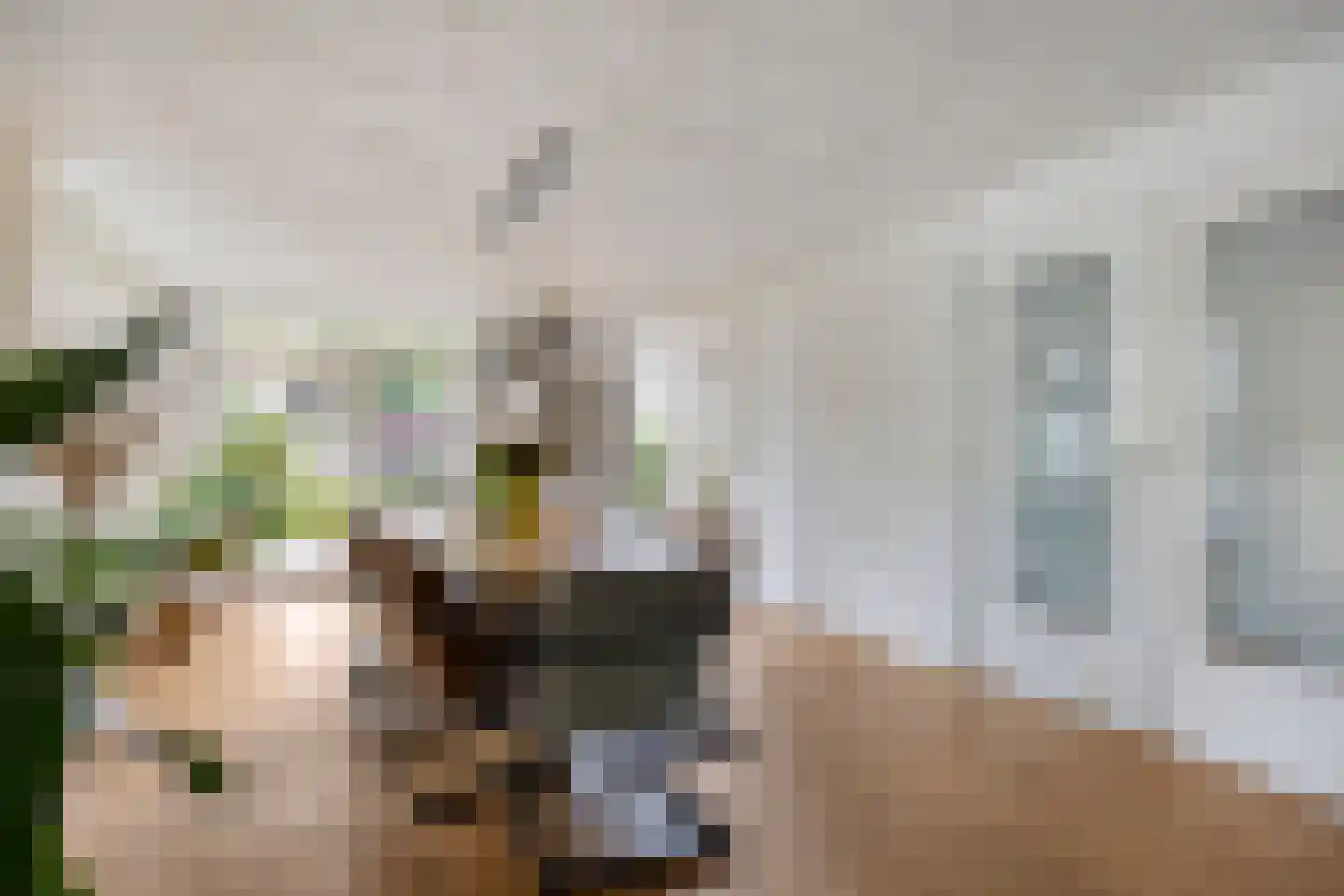 Reepheuvel 8 Best thumbnail 13