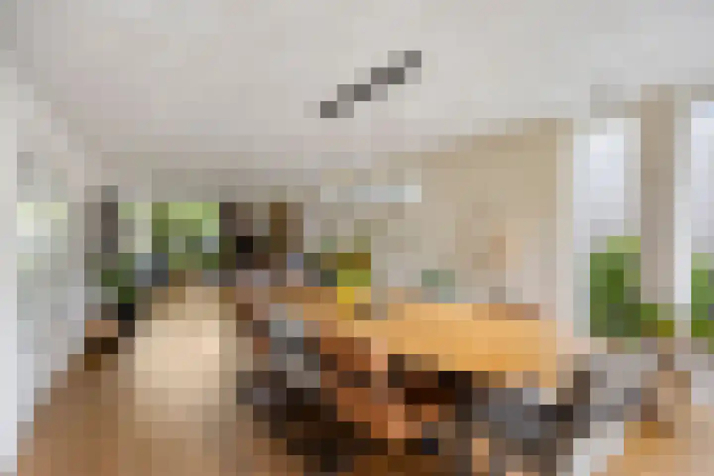 Reepheuvel 8 Best thumbnail 15