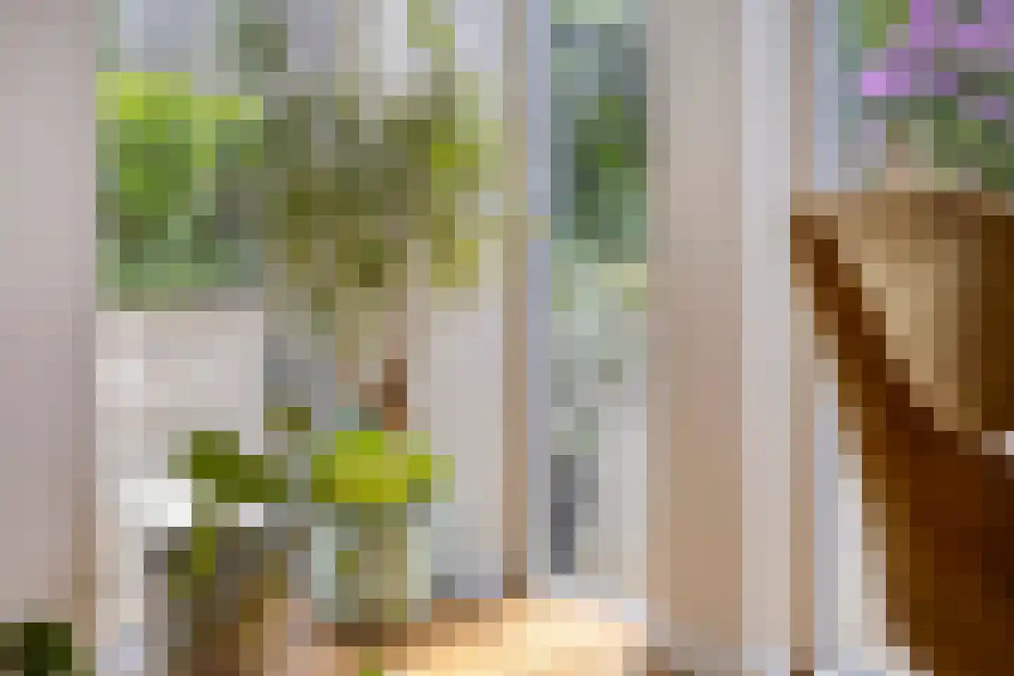 Reepheuvel 8 Best thumbnail 26