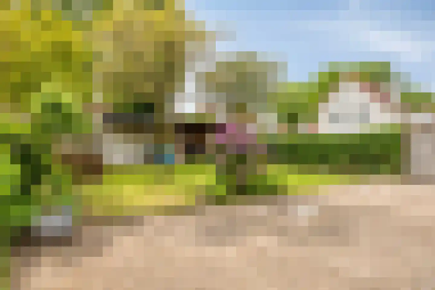 Reepheuvel 8 Best foto 3