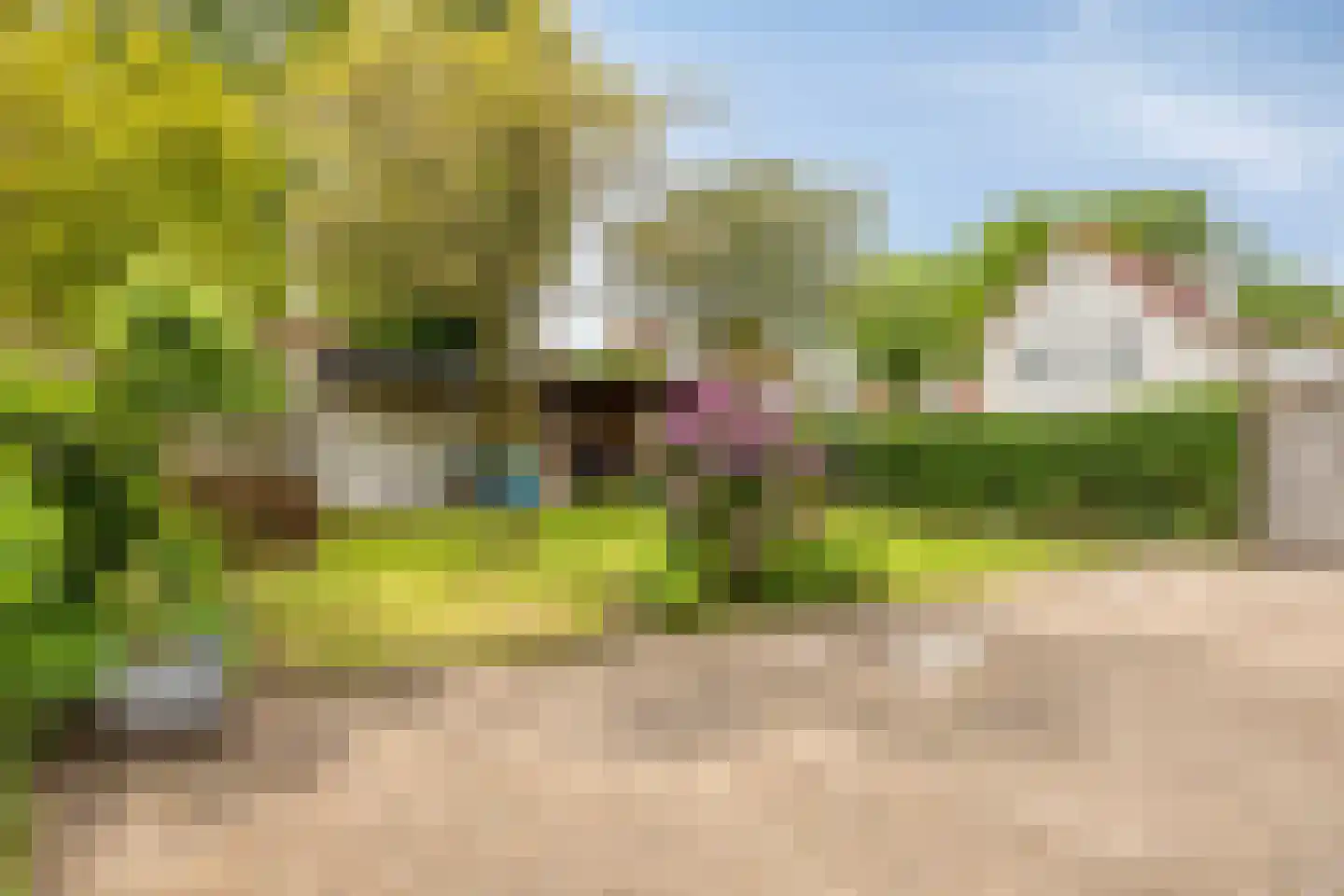 Reepheuvel 8 Best thumbnail 43