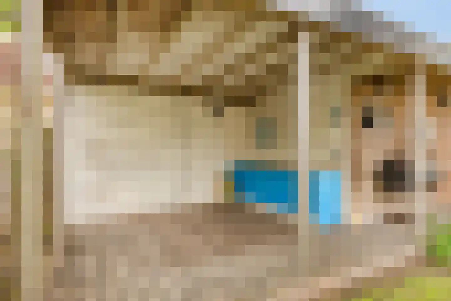 Reepheuvel 8 Best thumbnail 44