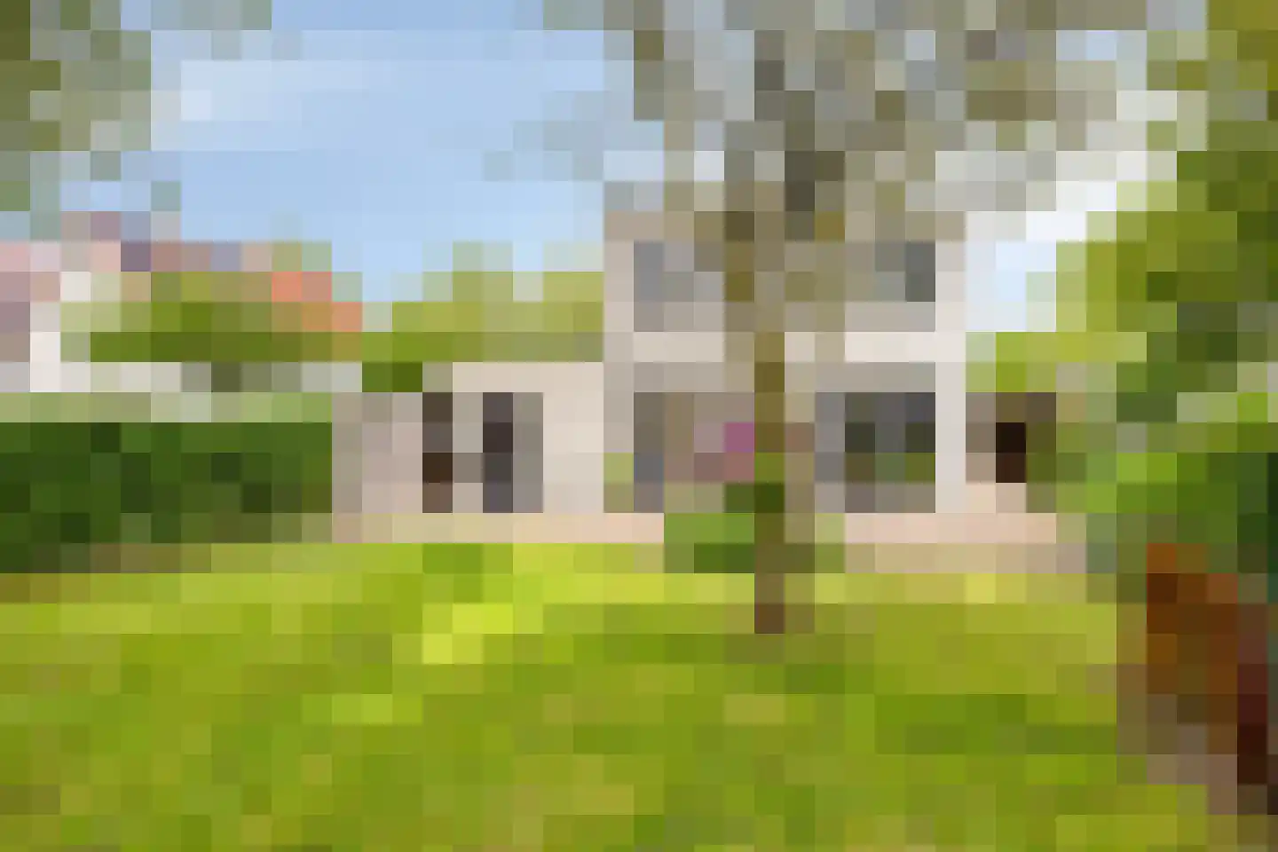 Reepheuvel 8 Best thumbnail 45