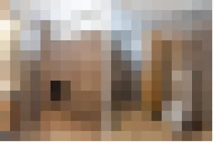 Reepijzer 8 Hardinxveld-Giessendam thumbnail 10