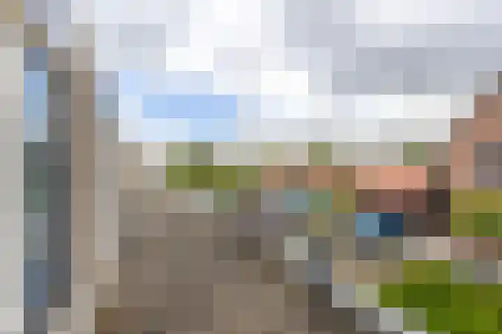 Reepijzer 8 Hardinxveld-Giessendam thumbnail 15
